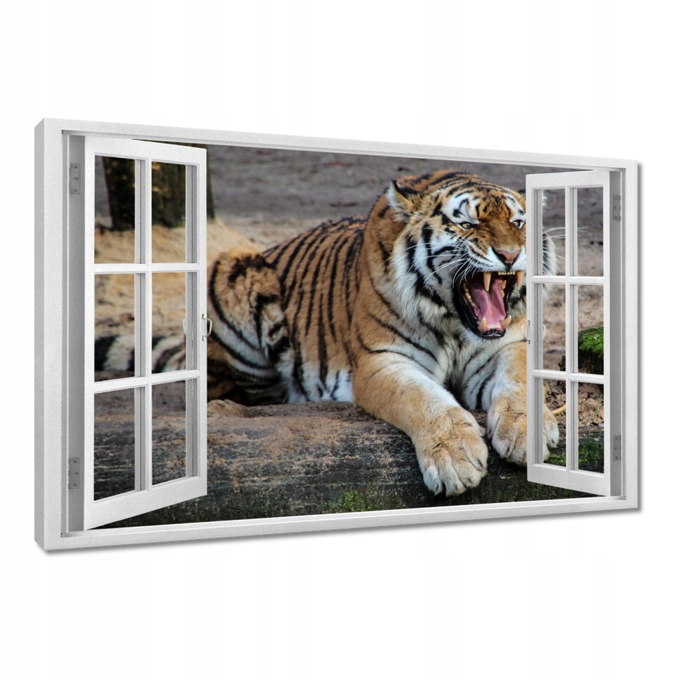 

Obrazy 120x80 Tygrys