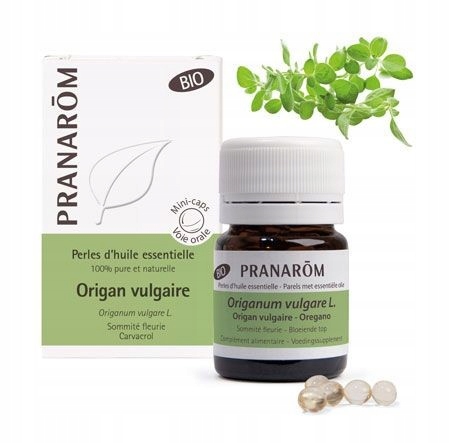 

Bio Kapsułki Oregano Origanum vulgare L. 60szt