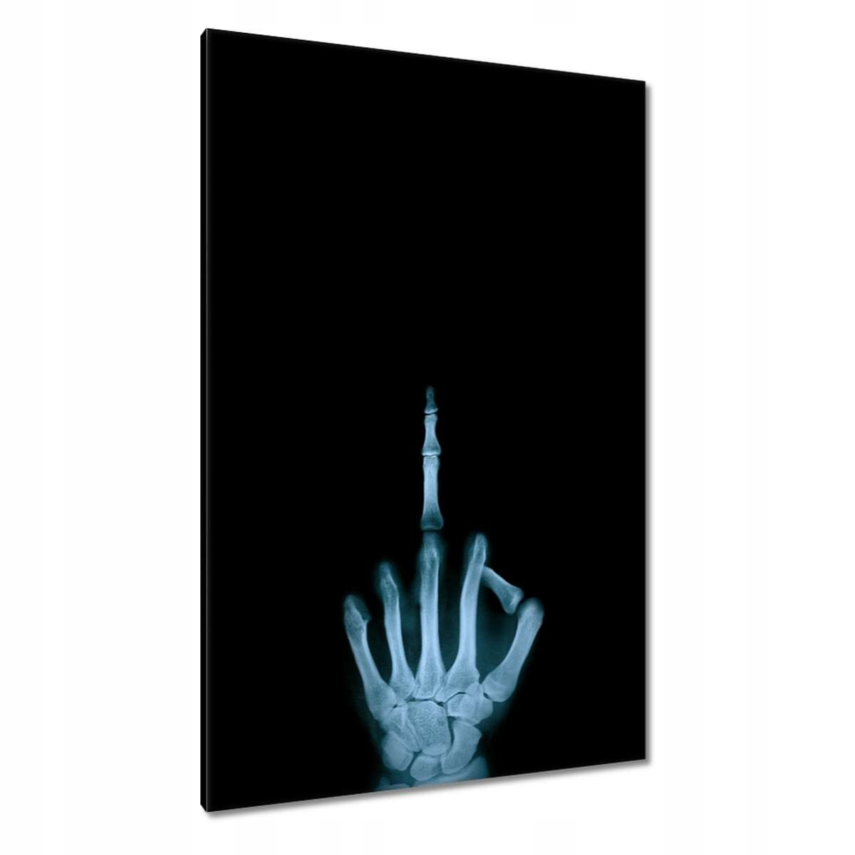 Obrazy 80x120 Fuck You Palec