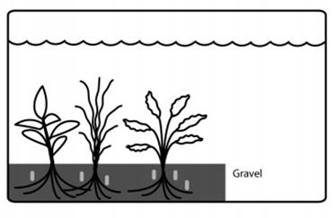 Kapsułki Tropica Nutrition Capsules [10 sztuk] EAN (GTIN) 5703249714008