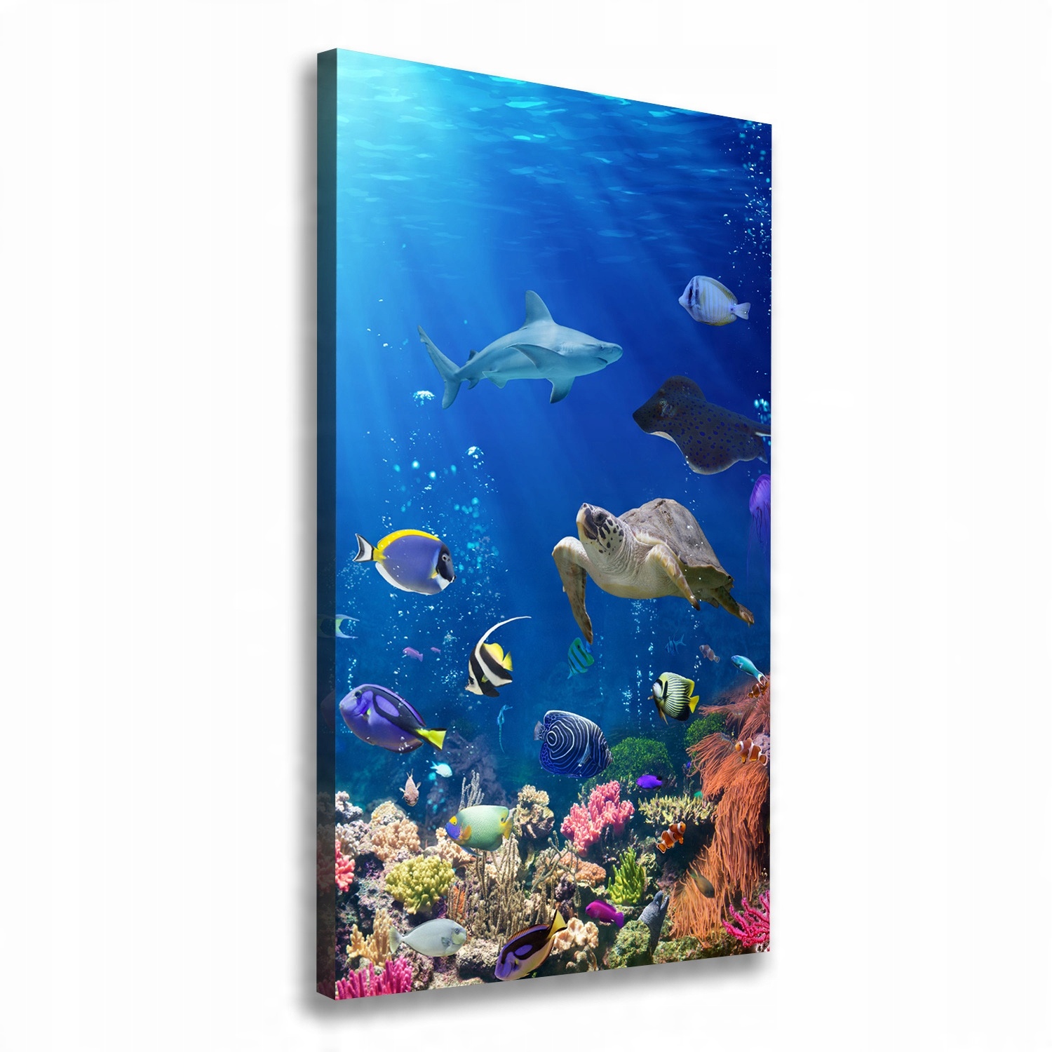 

Foto obraz canvas na ścianę Rafa koralowa 60x120cm