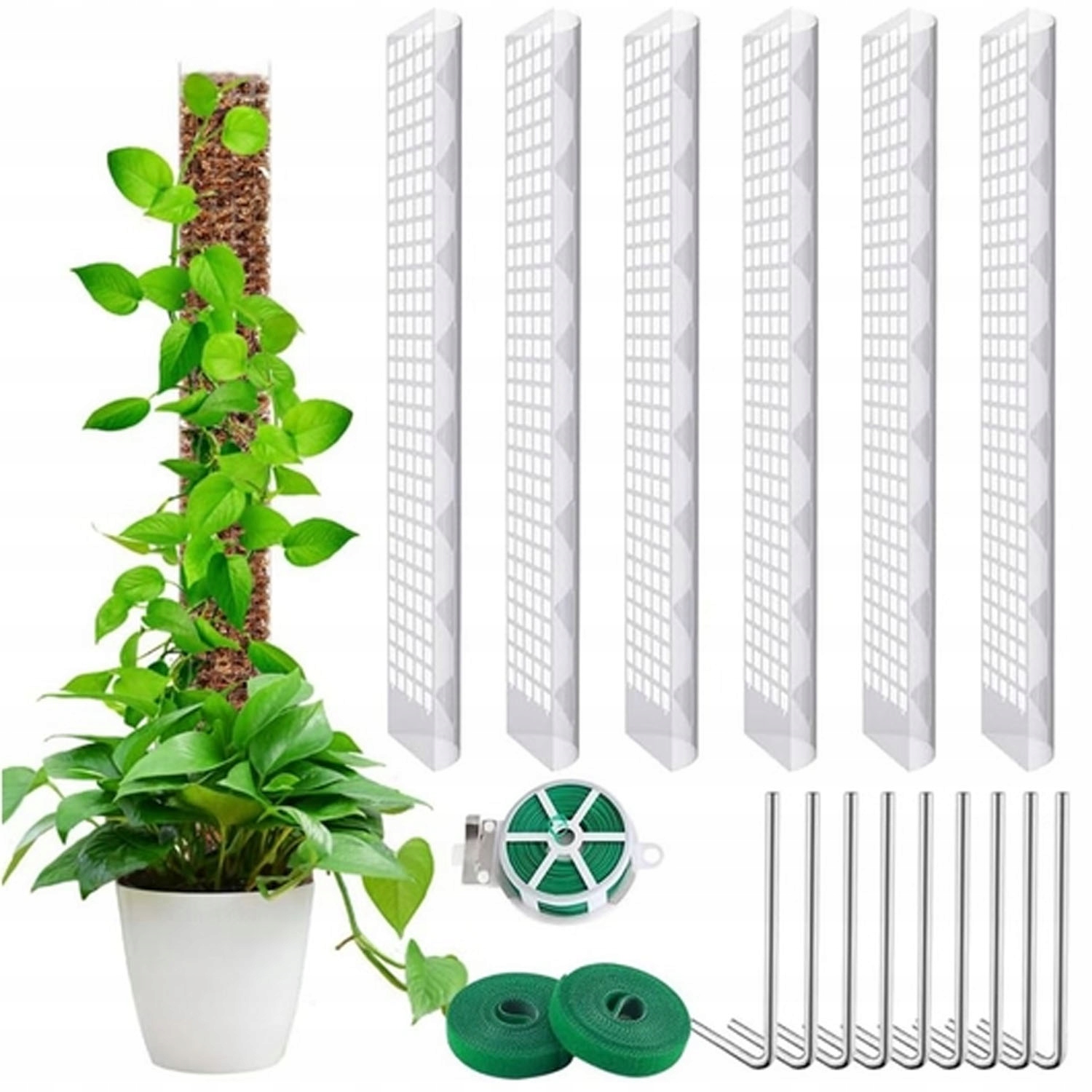 10. SŁUPKI DO TRENINGU ROŚLIN PIELĄCYCH Z TWORZYWA SZTUCZNEGO 6SZT 61CM