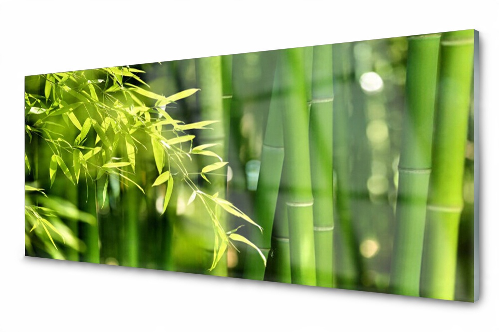 

Panel szklany do kuchni Bambus Liście 125x50