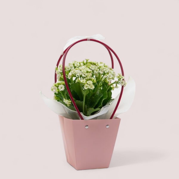 Torebka na kwiaty Flower Box Dzień Matki Ślub Komunia RÓŻOWA 3246 Marka bez marki