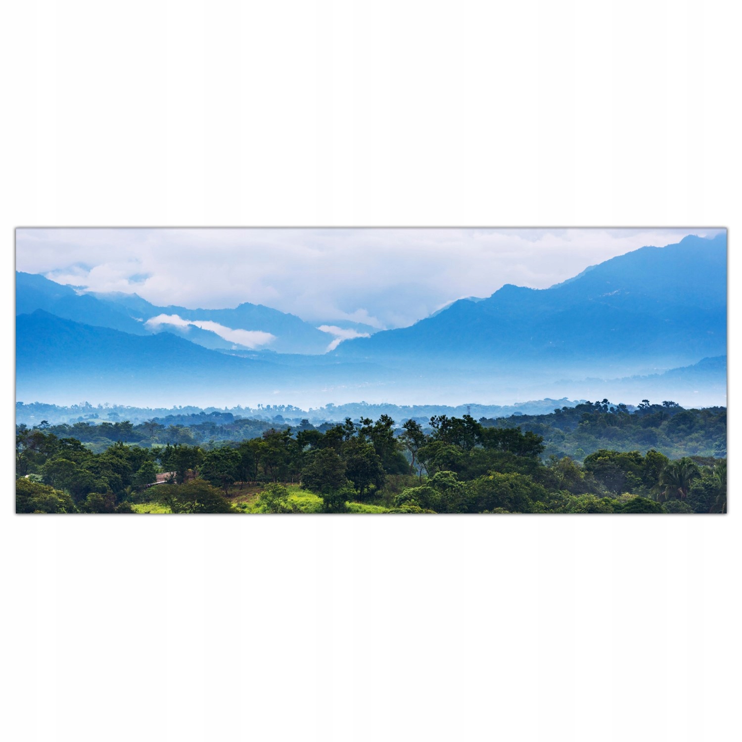 

Obraz na szkle Foto Dżungla Las Krajobraz 125x50