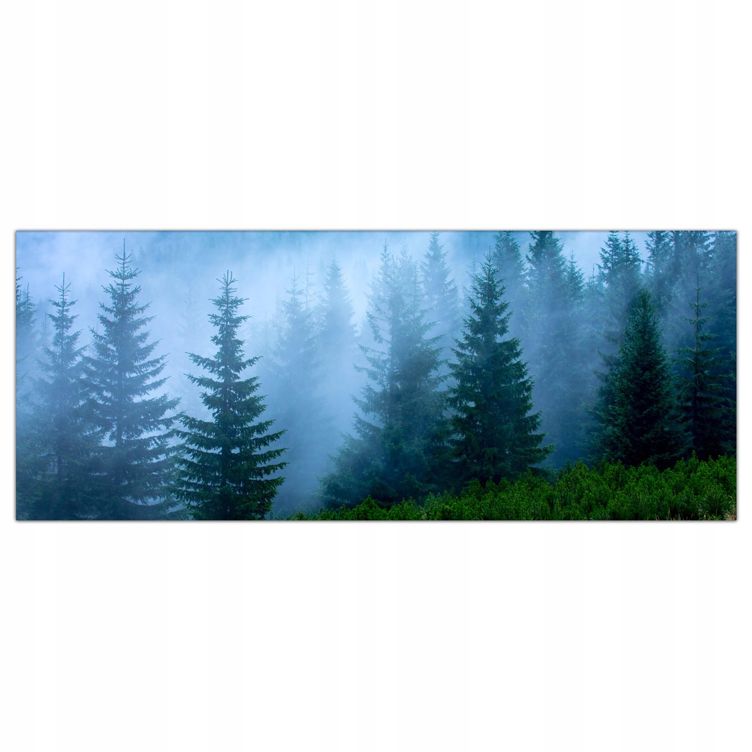 

Obraz na szkle Foto Mgła Góra Las Natura 125x50