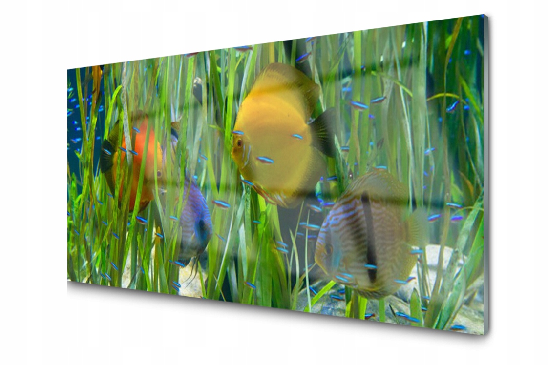 

Panel szklany Płytka Ryba Wodorosty 140x70