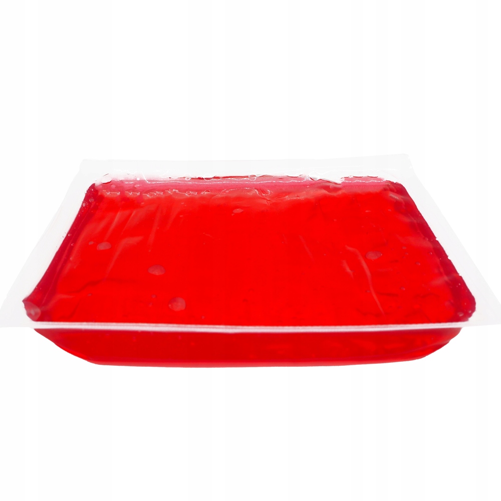 WKŁADY MROŻĄCY GRZEJĄCY LODÓWKA TURYSTYCZNA 2 SZT Model brak