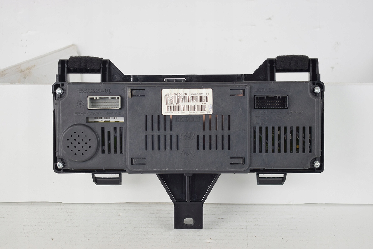 frame display RENAULT SCENIC III 250450012R