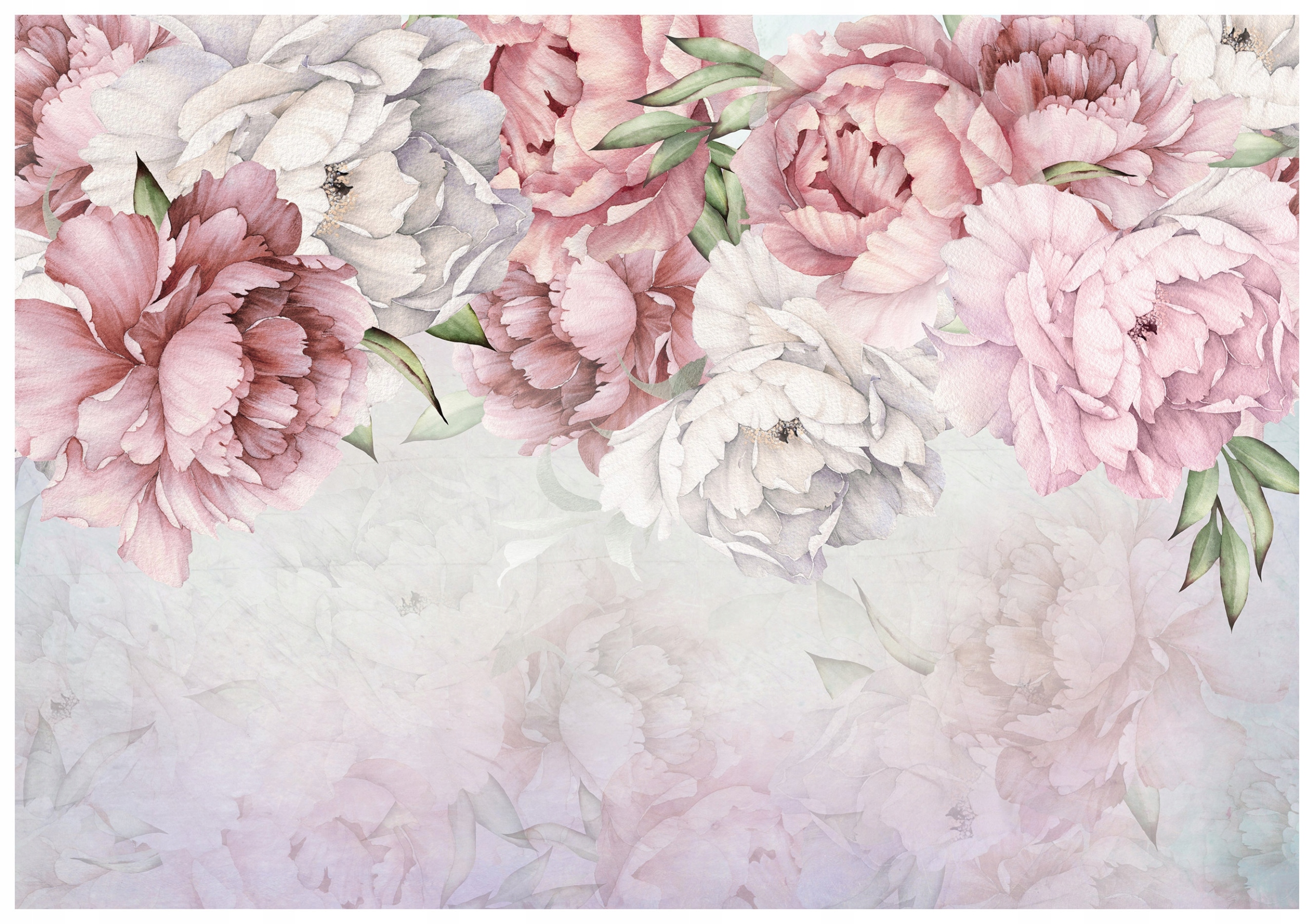 Fototapeta Pivoňky Růžové květy Elegance do ložnice 300x210 lepidlo