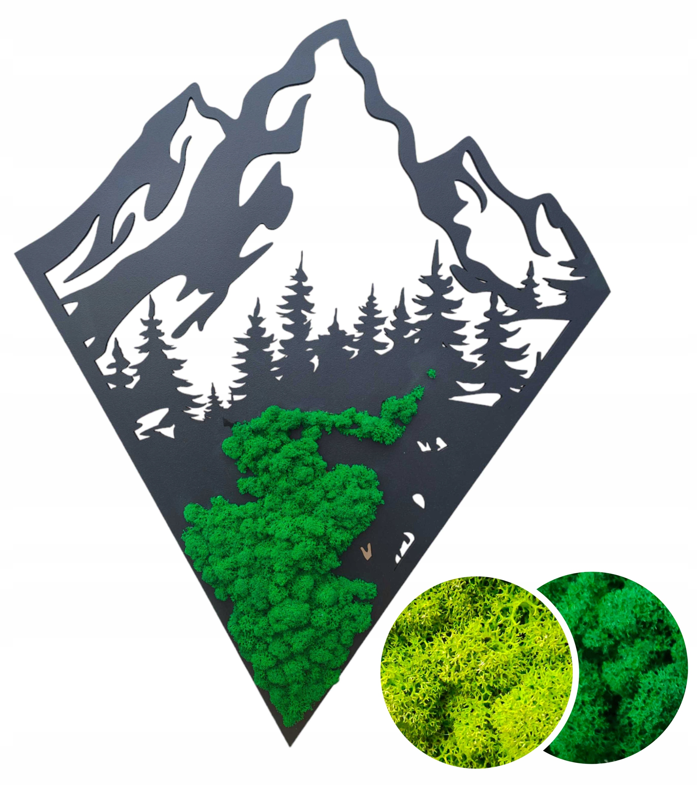 Obraz s mechem chrobotkem Hory 70 cm mech chrobotek horská krajina živý obraz