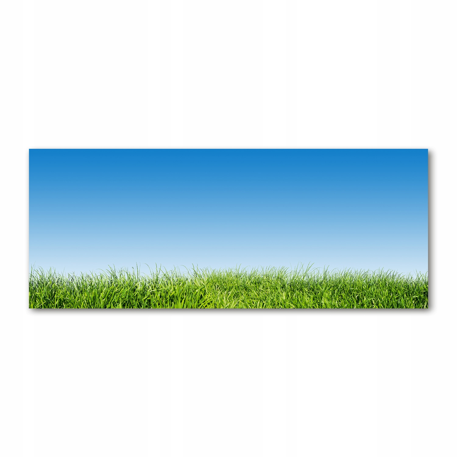 

Foto obraz akryl nowoczesny na ścianę Trawa 125x50