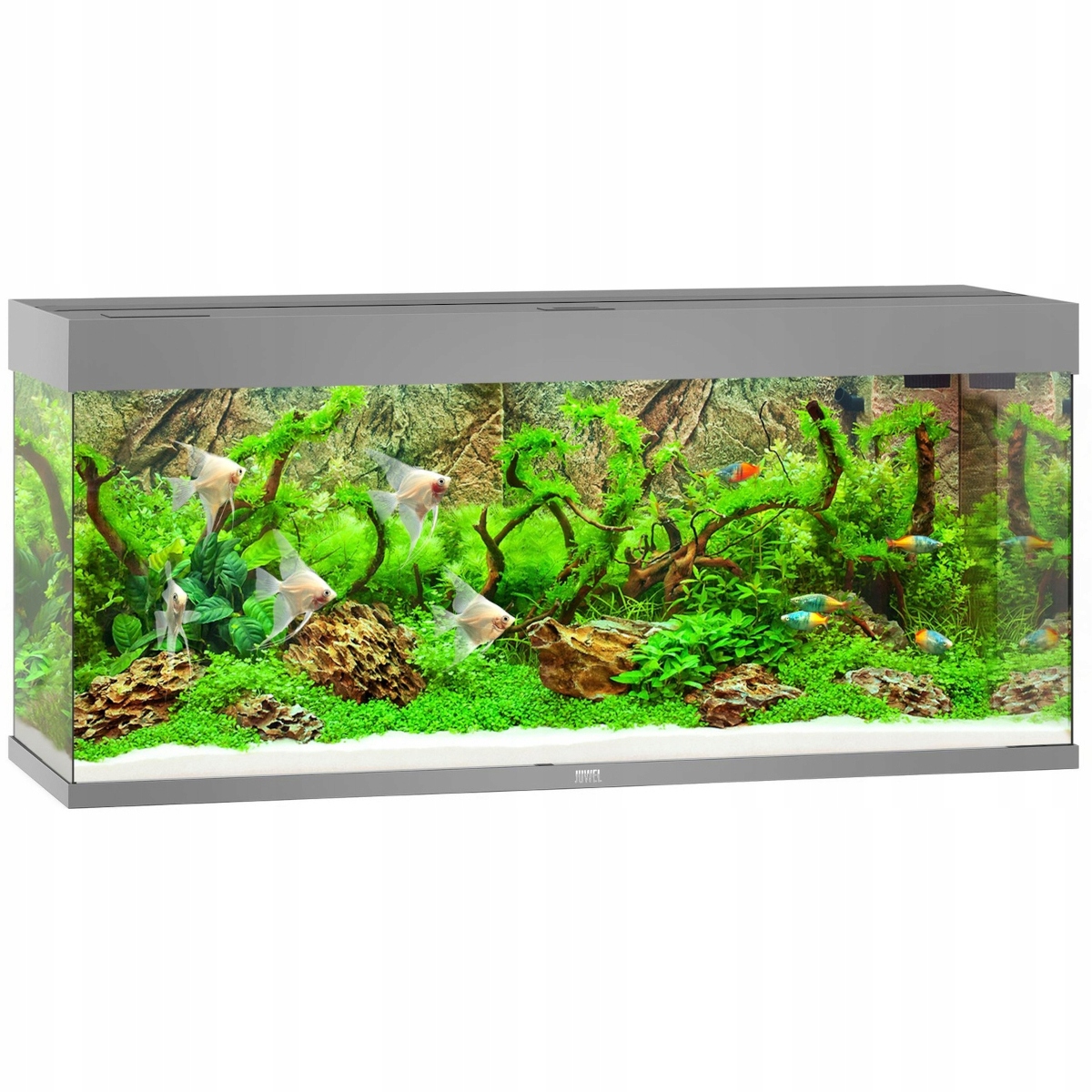 Juwel Rio 240 LED akwarium zestaw szary
