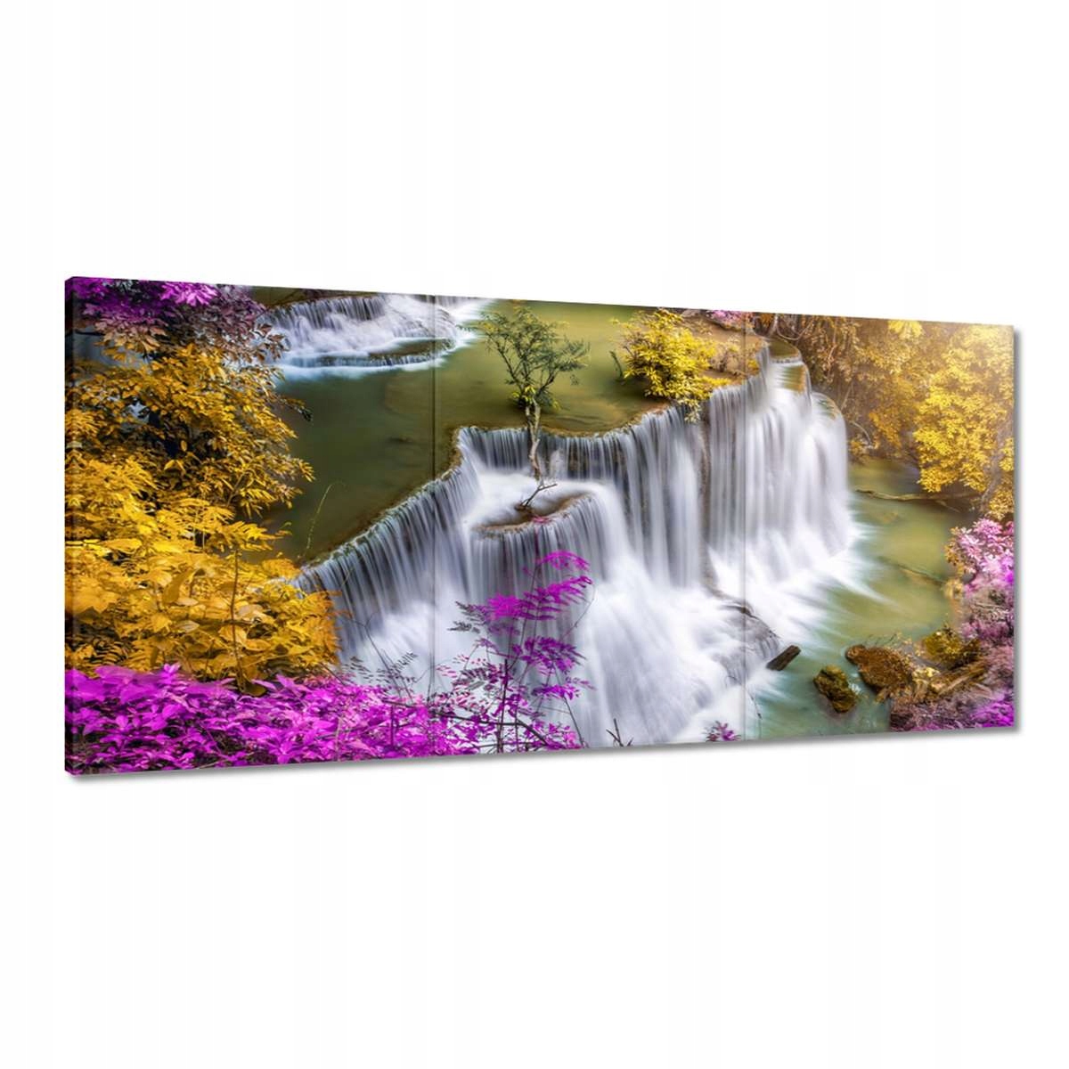 Obrazy 180x90 Fialové okolo kaskády