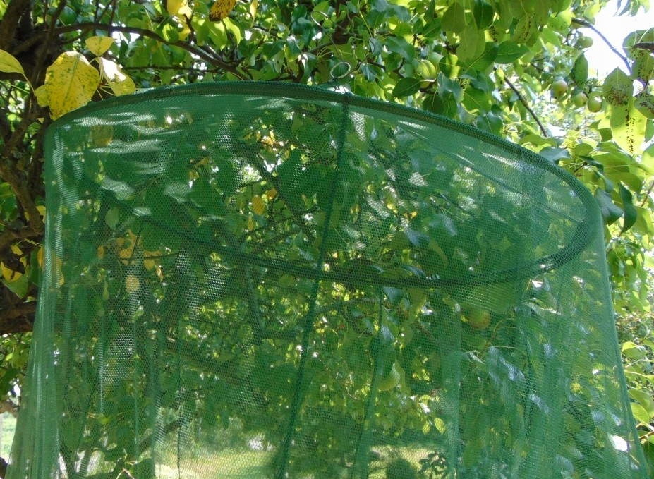 PODWÓJNA MOSKITIERA OLIV MFH Wysokość 200 cm