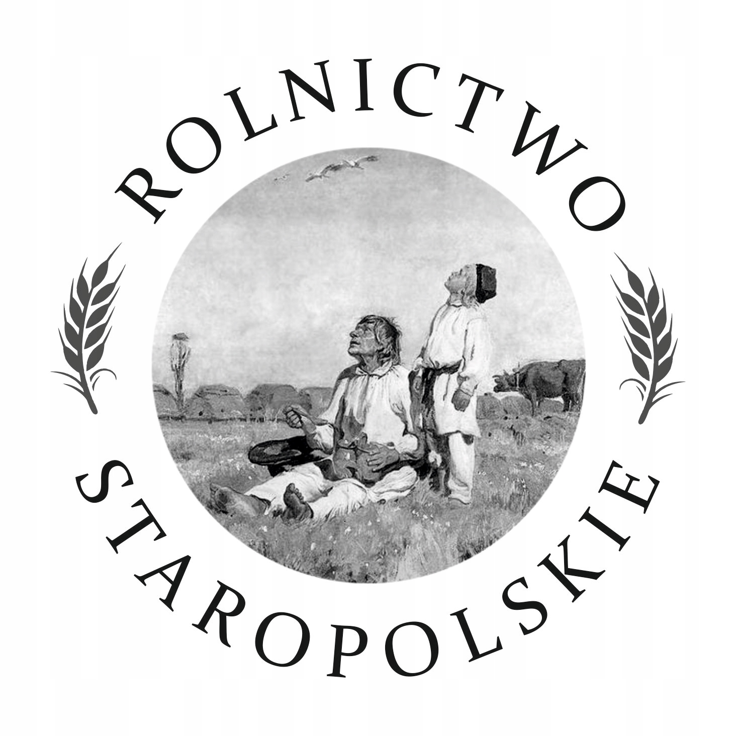 Staropolski Złoty OWIES Ekologiczny dla Kur 20 KG Waga 20 kg