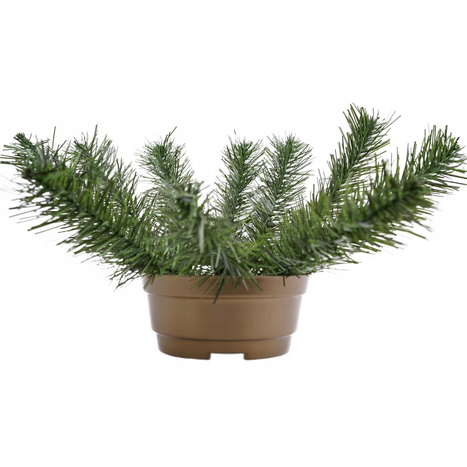 

Baza Do Stroika Świerkowe Gałązki W Doniczce