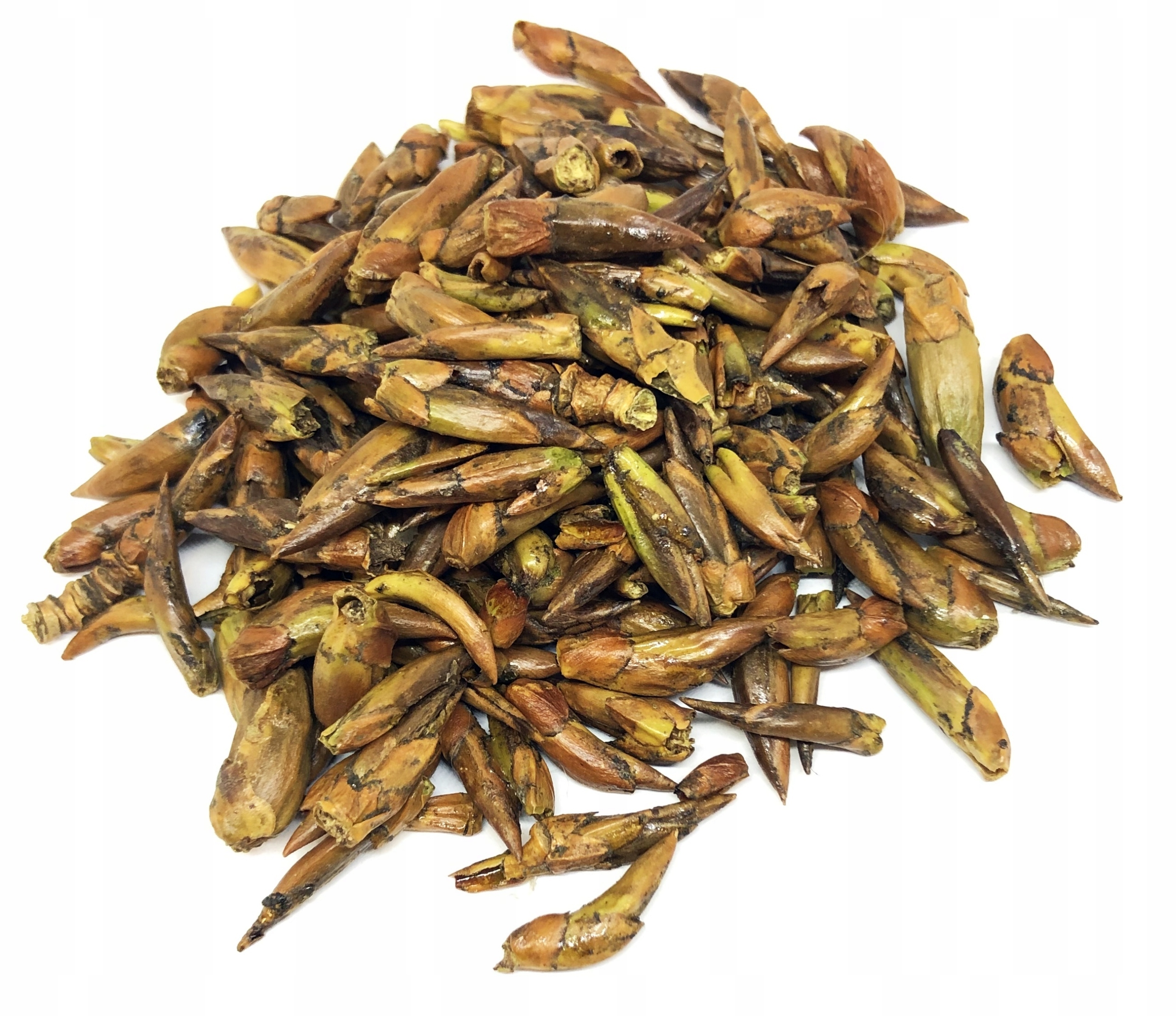 Topola Pączki Topoli Czarnej Całe Suszone 1 Kg 100%