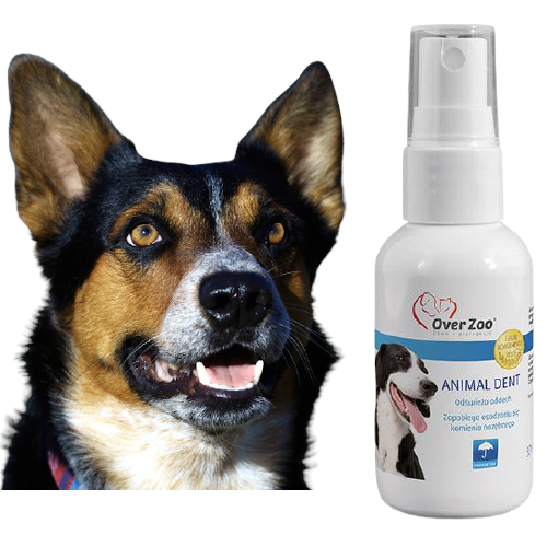 

Overzoo Animal Dent 50 ml