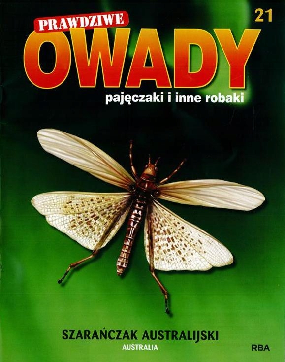 PRAWDZIWE OWADY, PAJĘCZAKI nr 21 - SZARAŃCZAK AUSTRALIJSKI