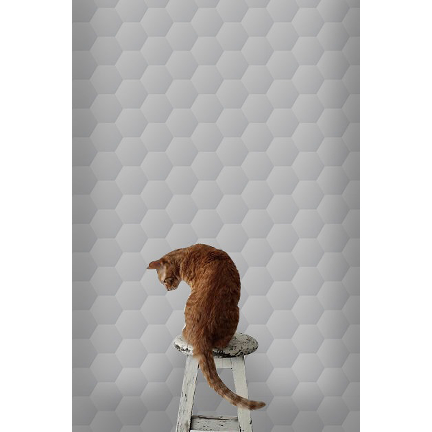 

Tapeta flizelinowa Szare heksagony 152x104 + klej