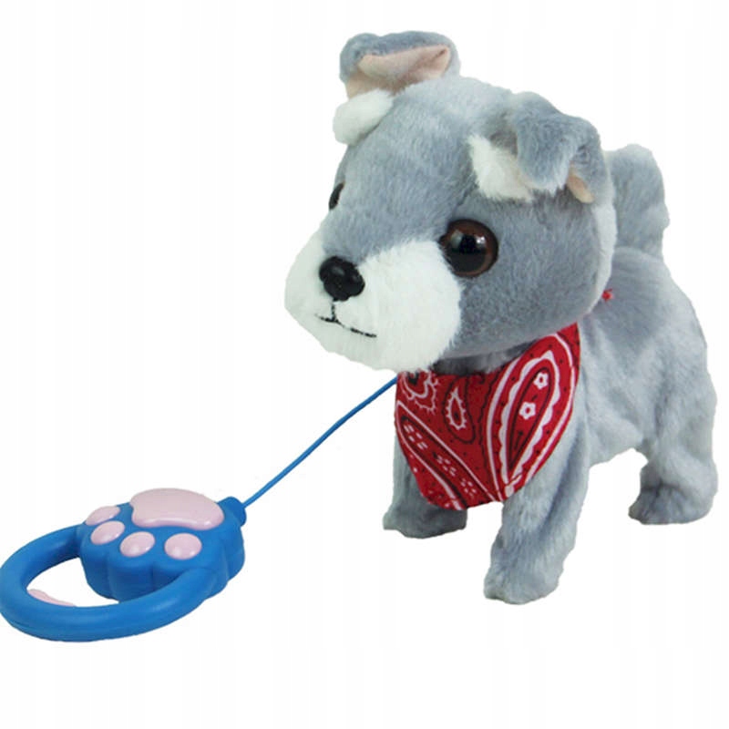 

Piesek Chodzacy na Smyczy Smily paly