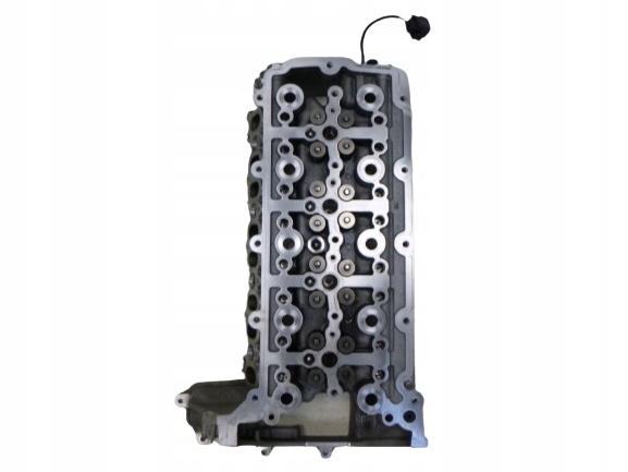 LAND RANGE ROVER JAGUAR TESTATA 2.0 204 DTA