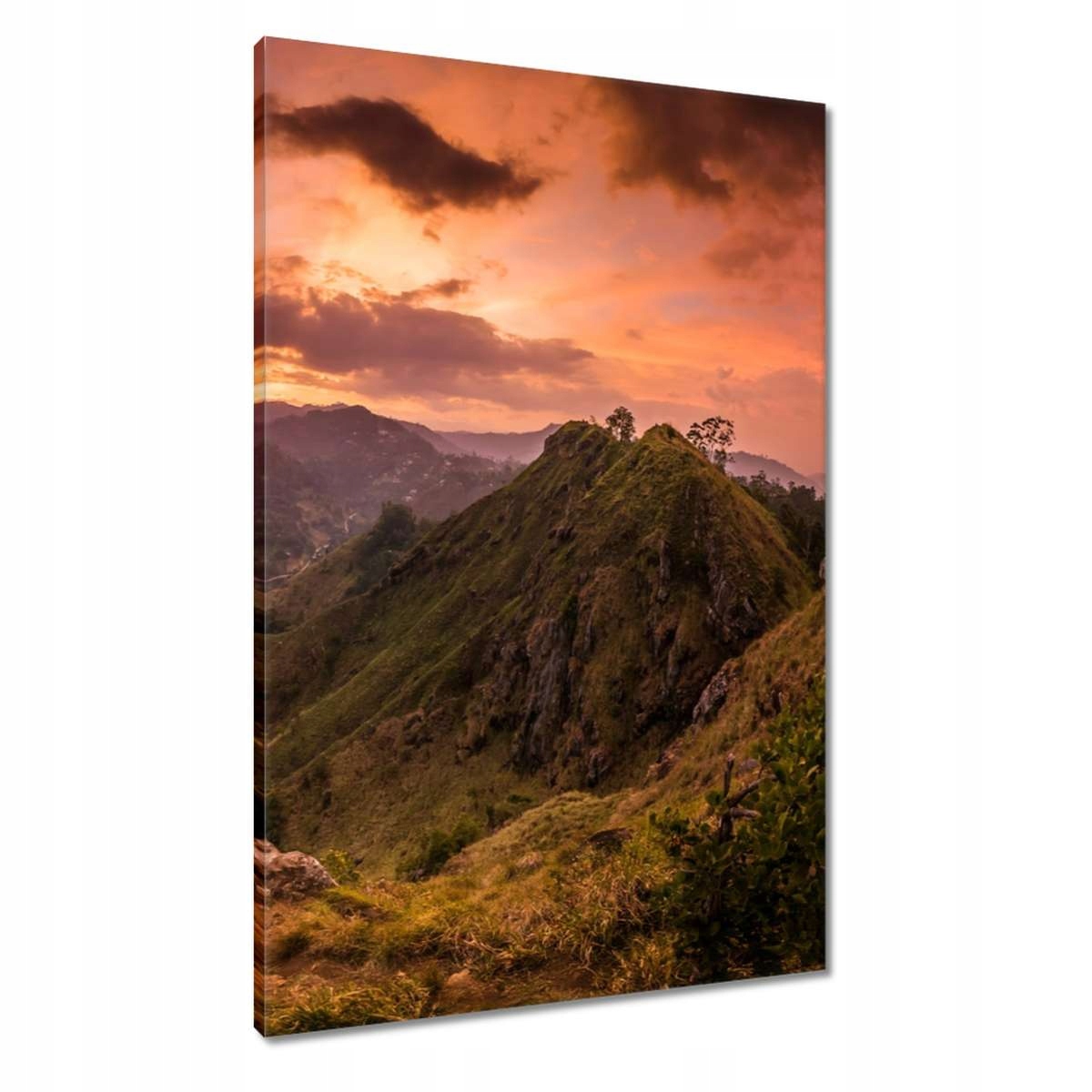 Obrazy 60x90 Krajina s horami Ovce