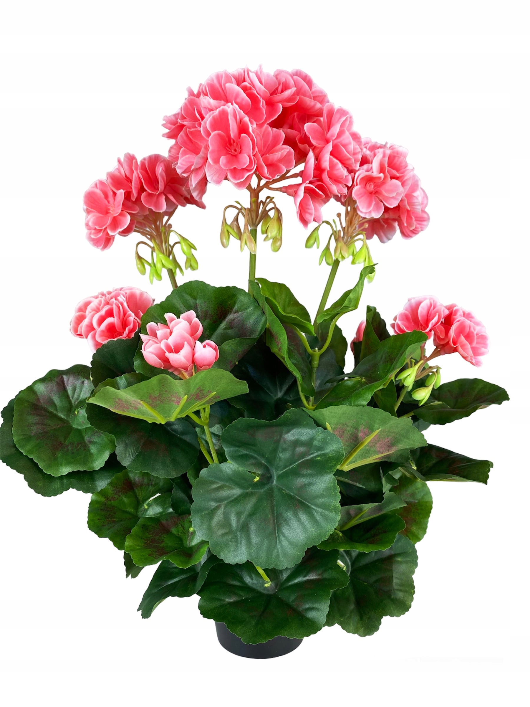 

Pelargonia Sztuczna Różowa Mal W Doniczce Jak Żywa
