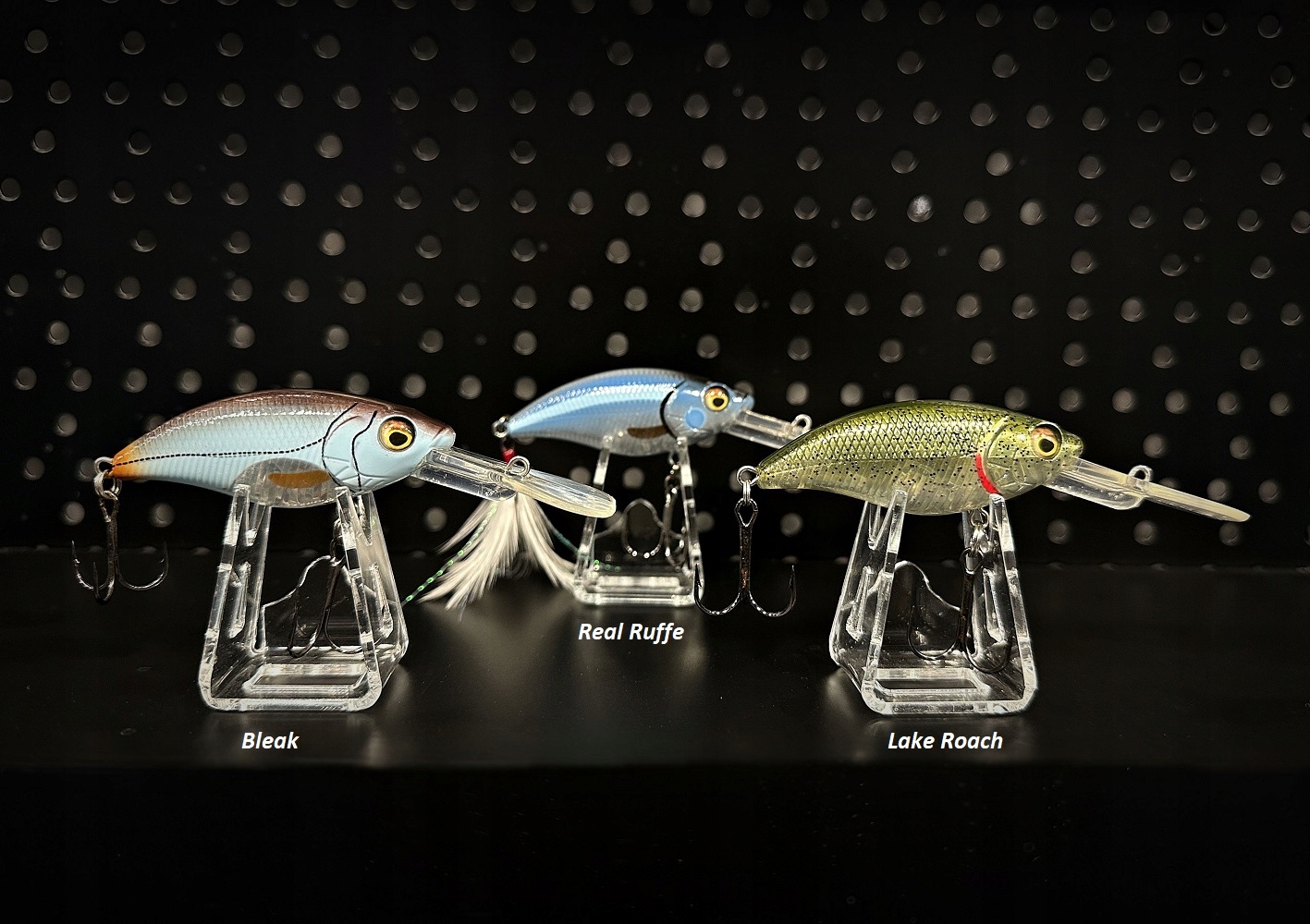 Wobler Kacpra Dowkszy Westin Buzzbite Crankbait 5cm 6g Lake Roach
