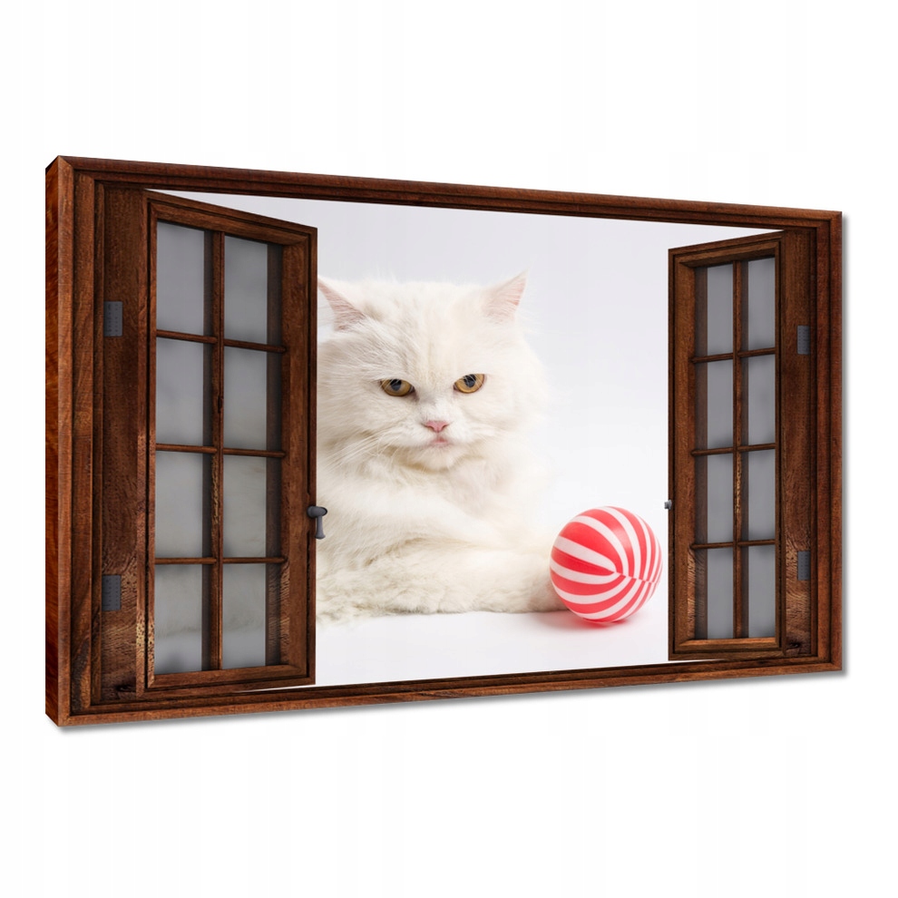 

Obrazy 120x80 Kot Kotek Kotki Koty