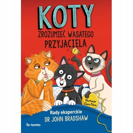 

Koty