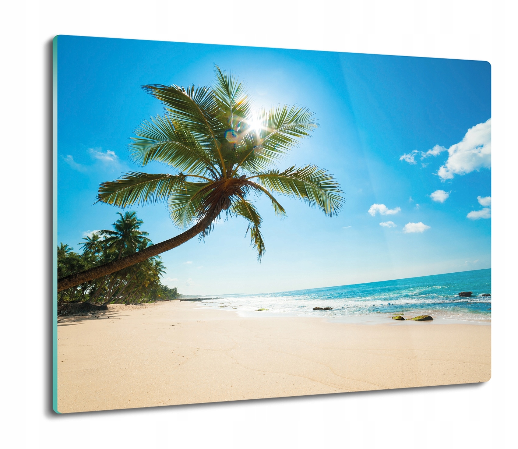 

Plaża palma morze 60x52 deska nowoczesna szklana