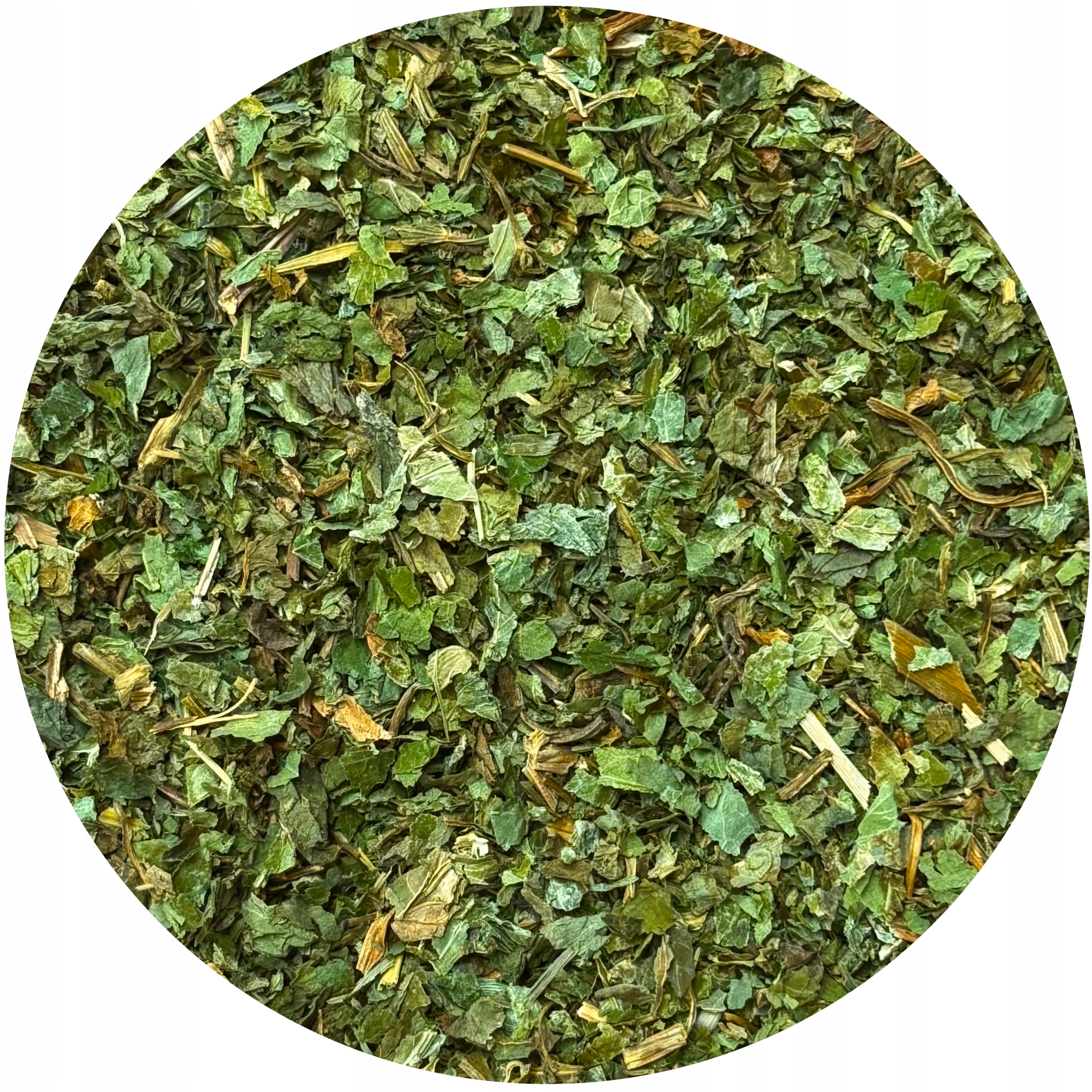 Podagrycznik susz Jakość,dna Moczanowa Podagra 2kg