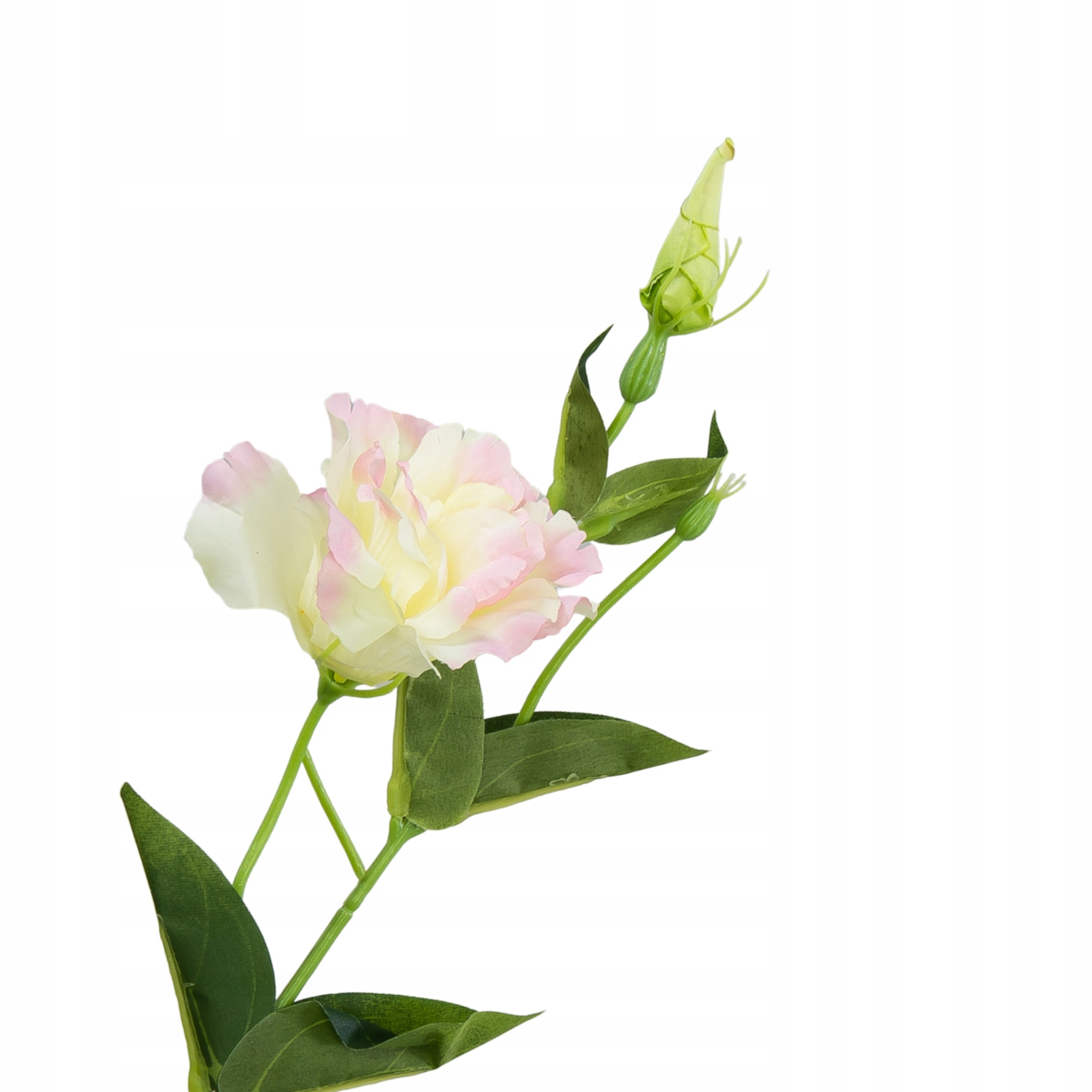 

[680742] Gałązka kwiatowa eustoma kremowo-różowa