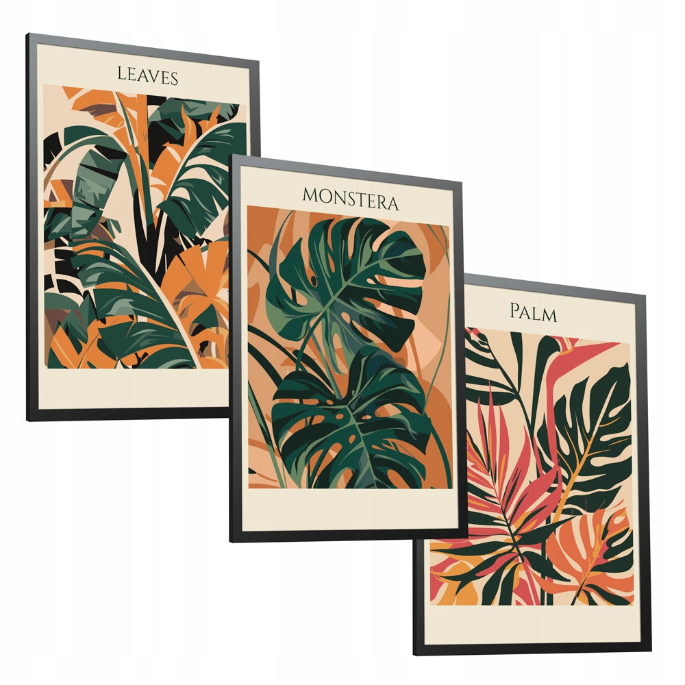 Monstera liście palma zestaw 3 plakatów 50x70