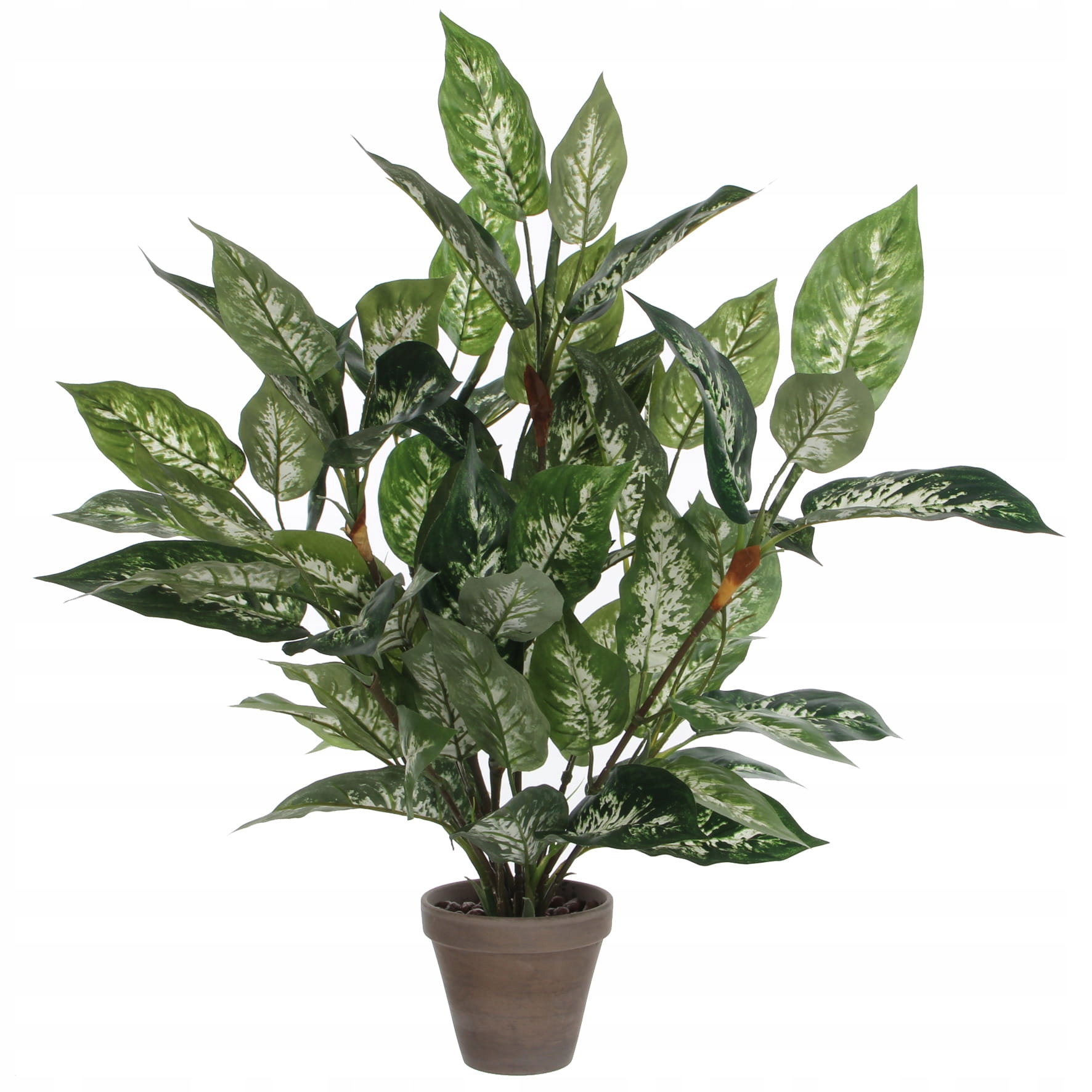 

Kwiat sztuczny Difenbachia 70cm