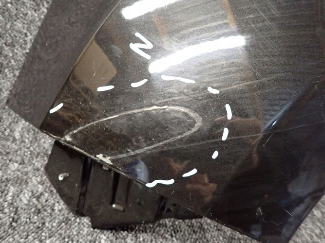 DACIA DUSTER II 17- fender left front front