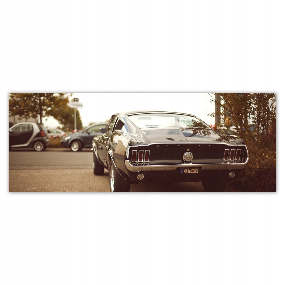 

Fototapety flizelina 250x93 Vintage Ford Mustang