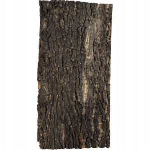 Repto Cork Plate 60 × 30 cm – korková deska do terária