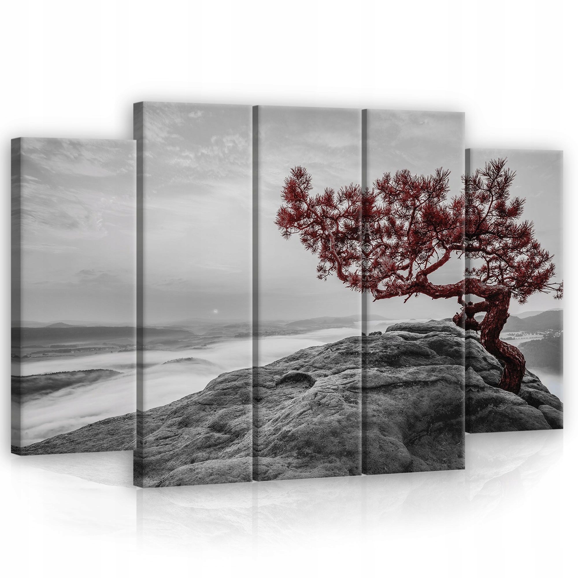 Obraz 150x100 Osamělý strom skála mlha údolí příroda klid mystika