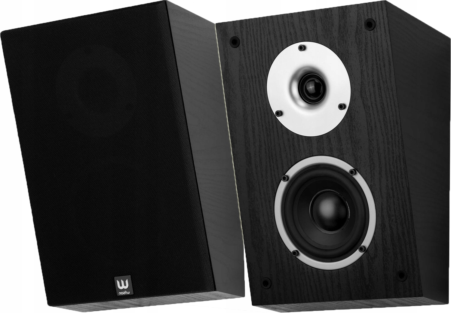 Kolumny Dolby Atmos Wilson Raptor X czarny 100 W 2.0 para