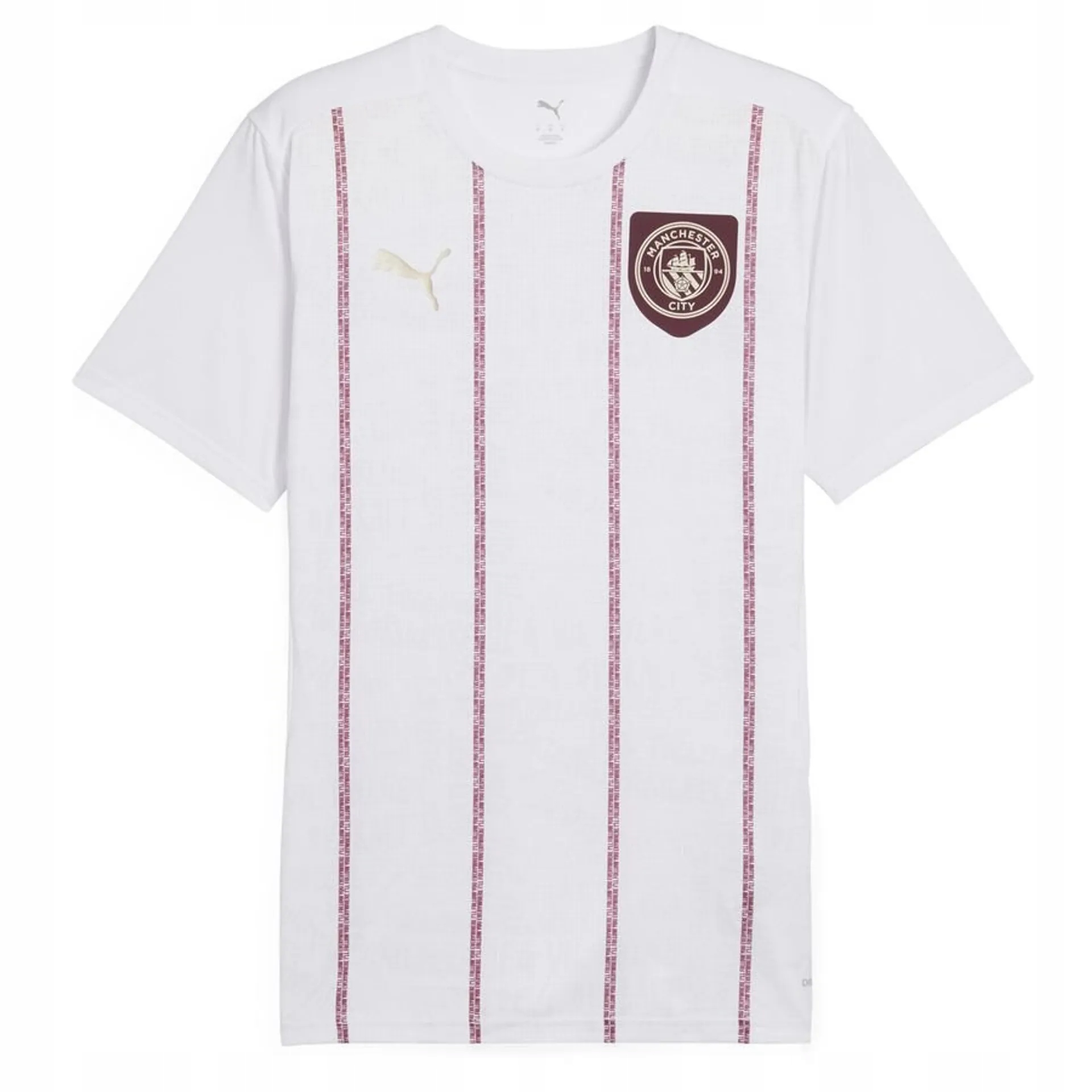 Tričko Puma Manchester City Fc 2024/2025 Pre-Match vel. XXL 779155 77