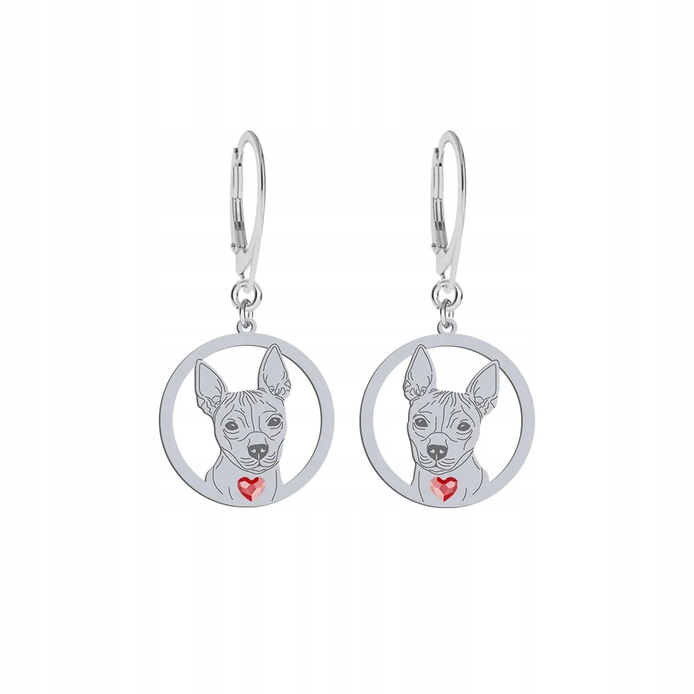 Stříbrné Náušnice se psem American Hairless Terrier 925 Dárek Gravírování Bonus