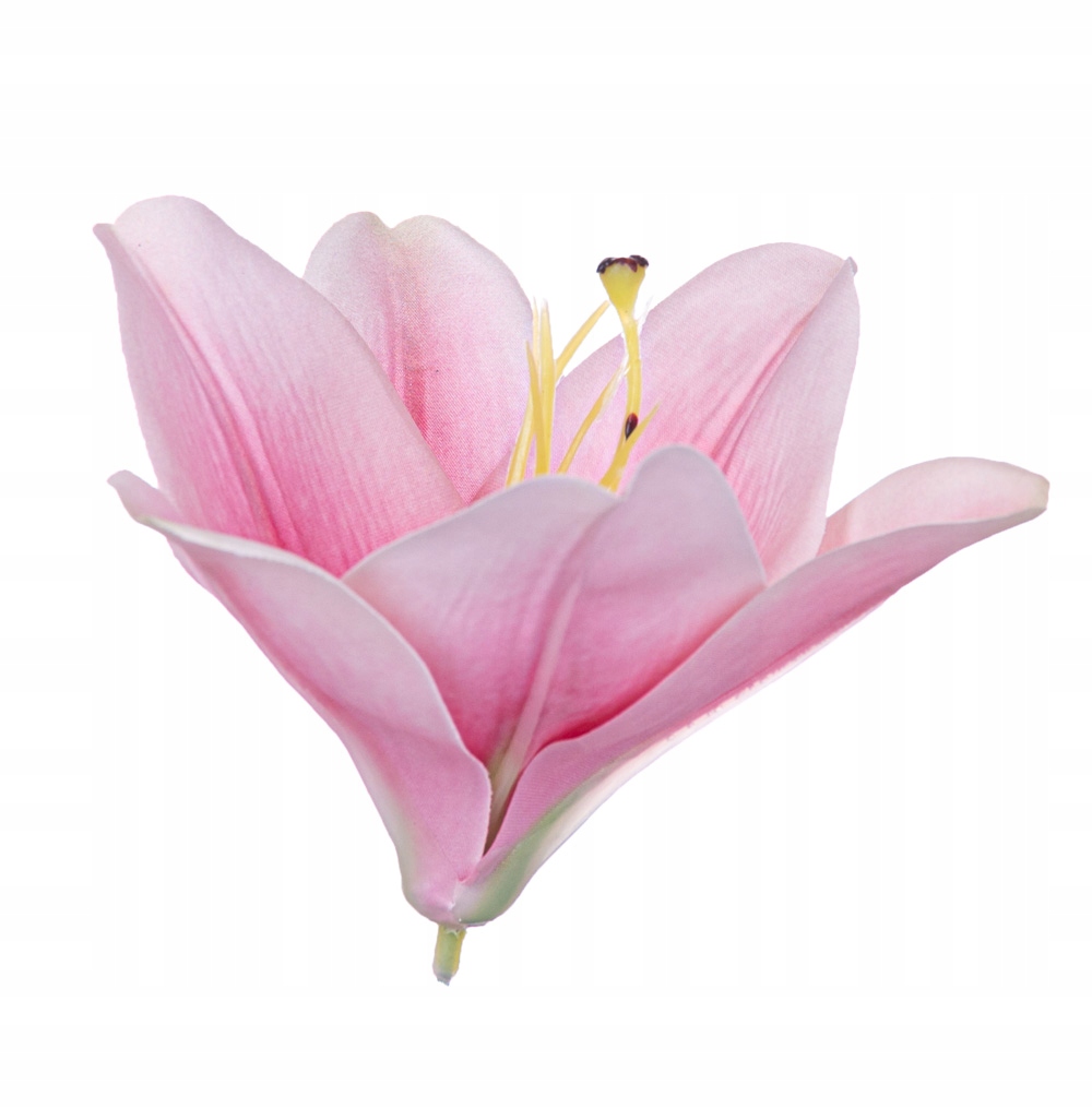 

Lilia główka różowa 13cm sztuczna wyrobówka