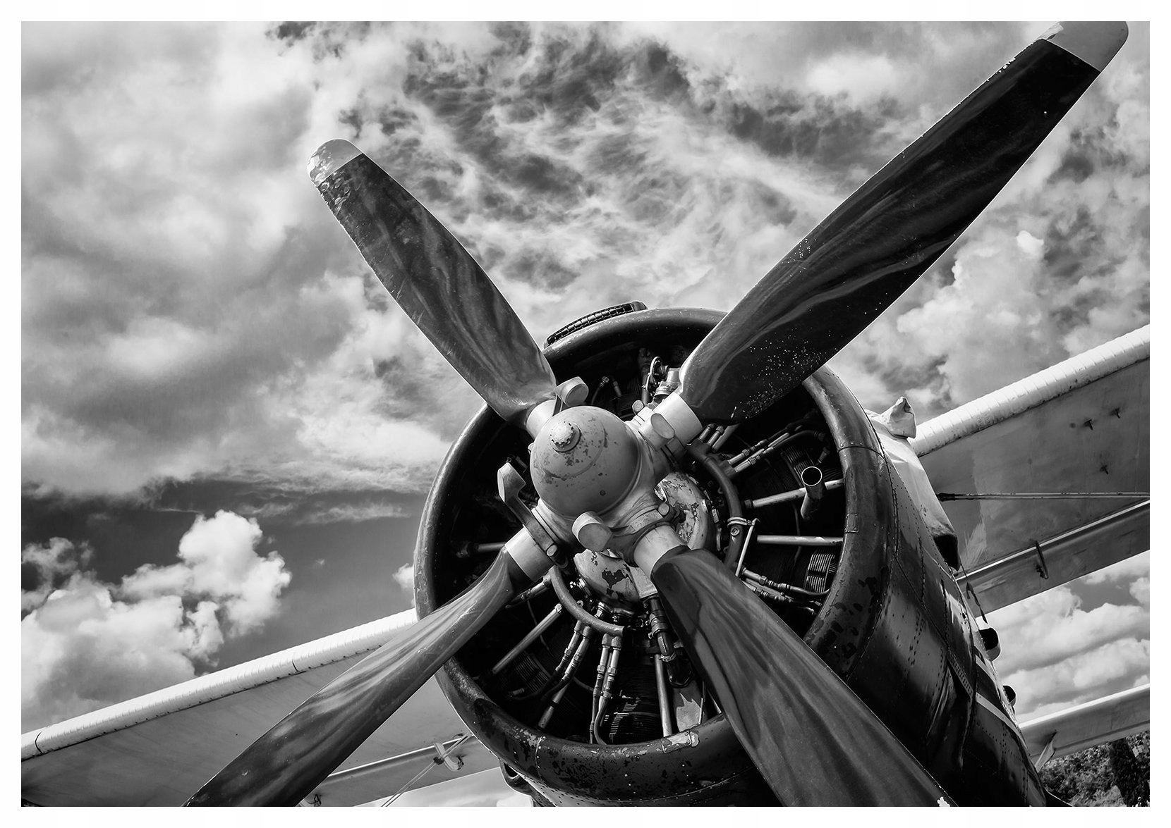 Fototapeta flizelina Černobílá retro letadlo na pozadí oblohy 200x140 lepidlo