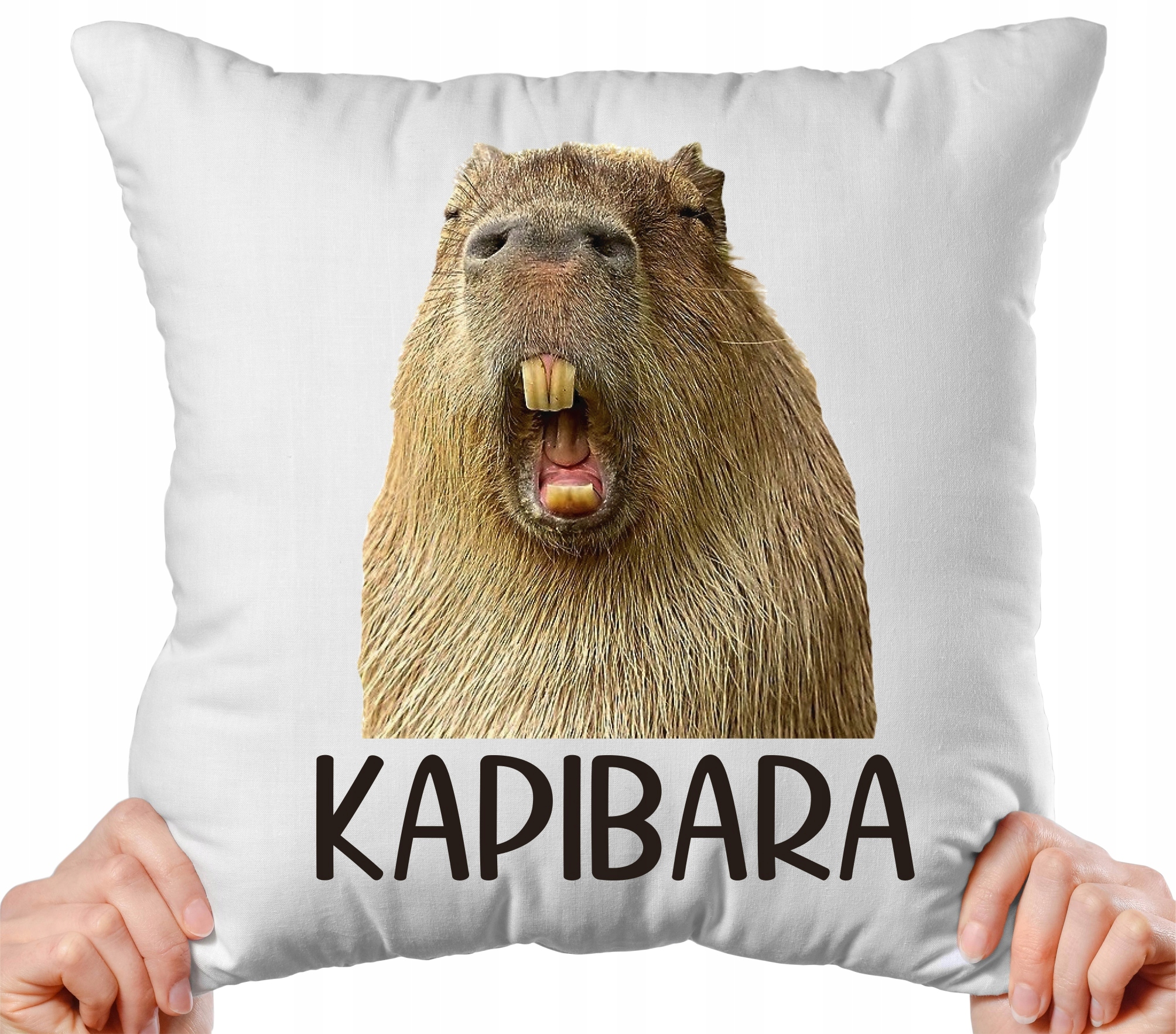 

Poduszka Kapibara 40x40 zwierzę