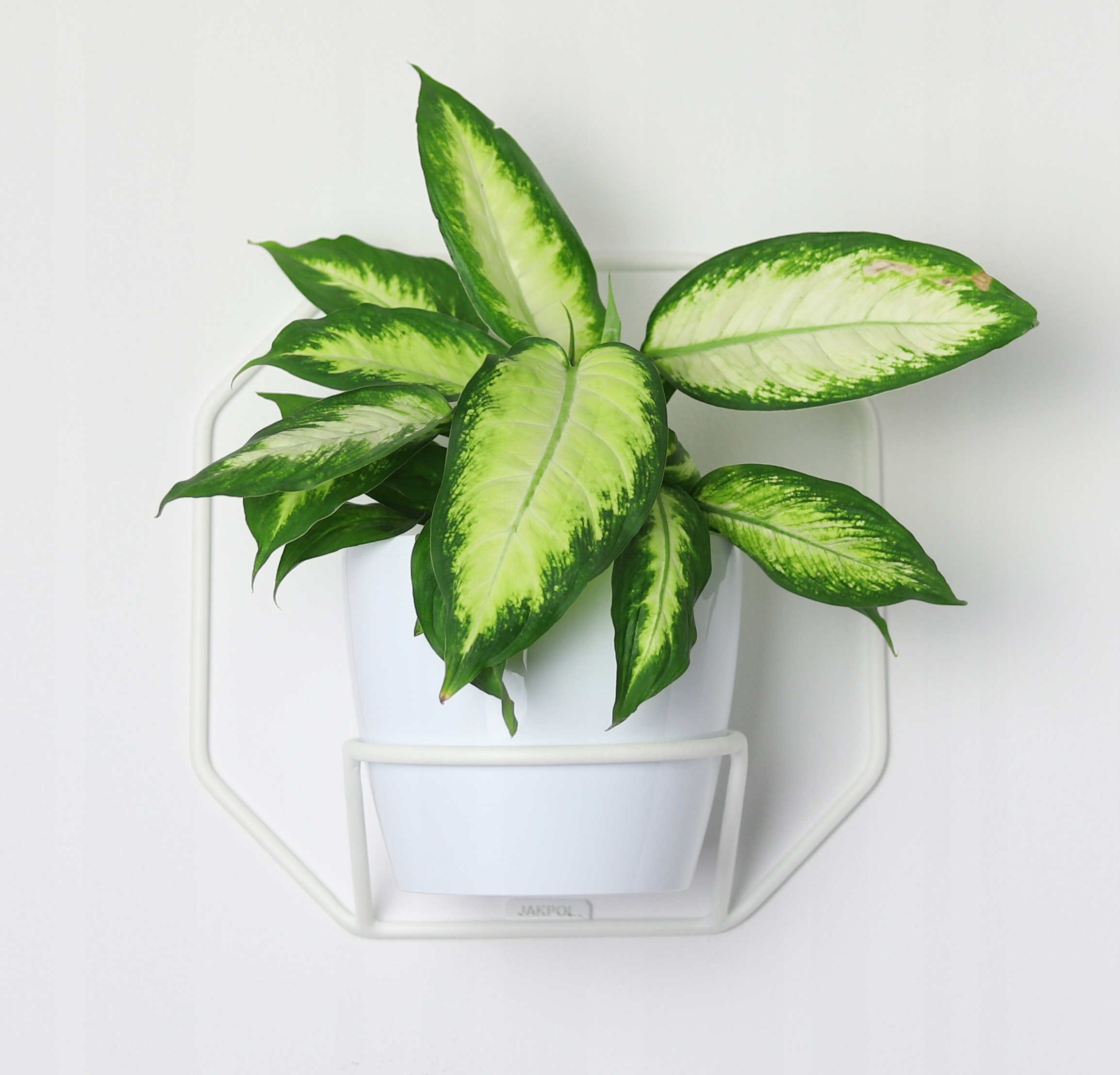 

Kwietnik Metalowy Ścienny Wiszący 32cm Biały Loft