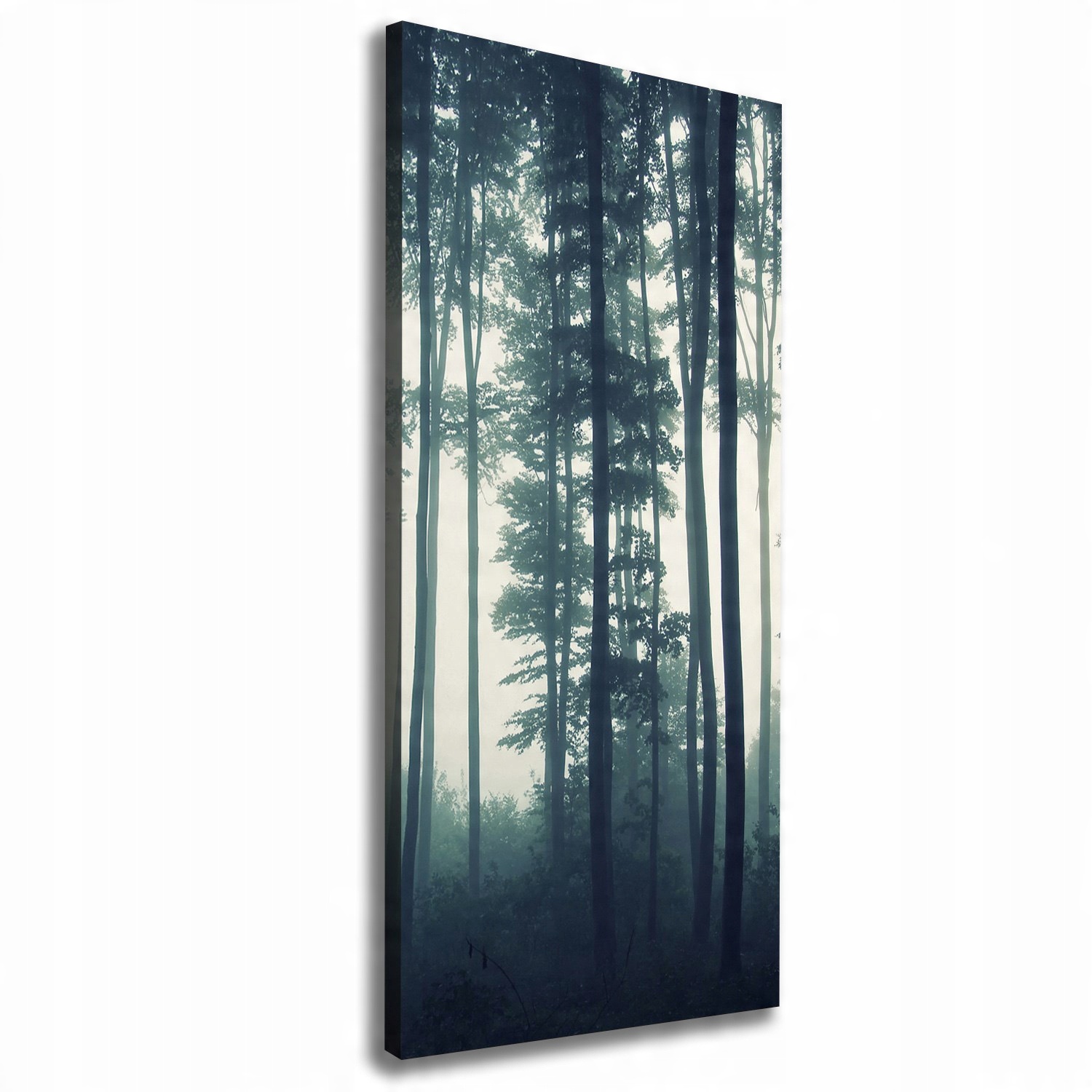 

Foto obraz canvas do salonu Mgła w lesie 50x125