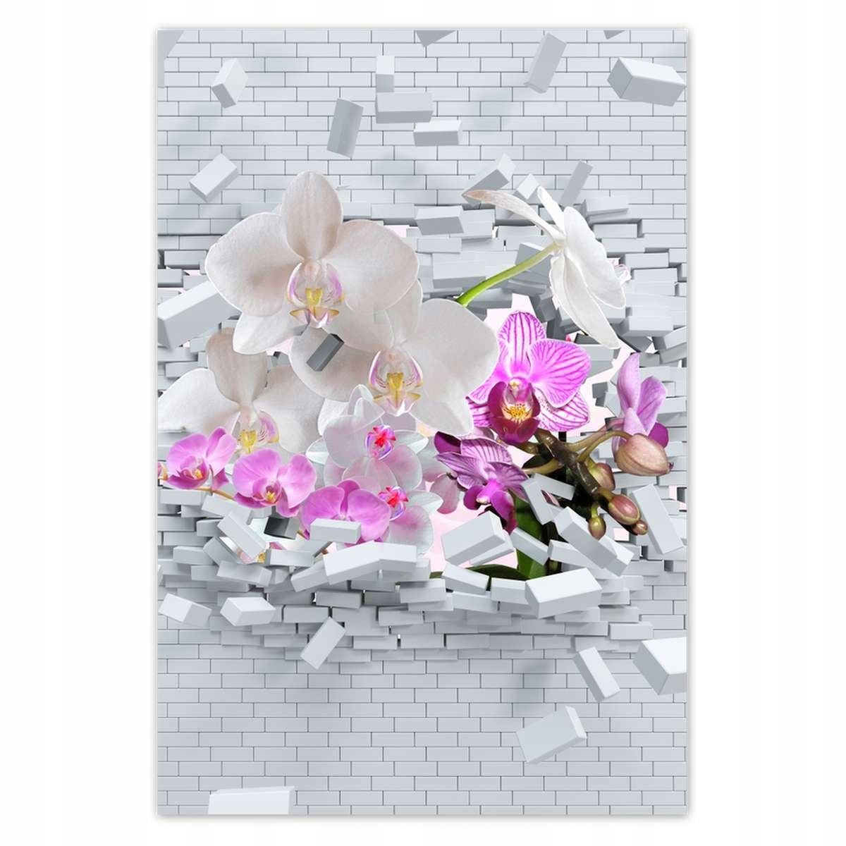 Plakáty 135x200 Orchidej do zdi Květiny